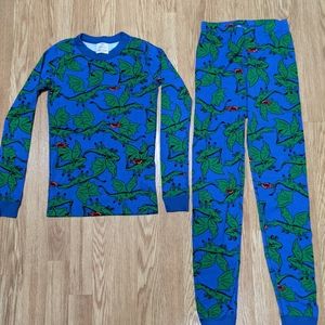 Boys size 12 Dragon jammies